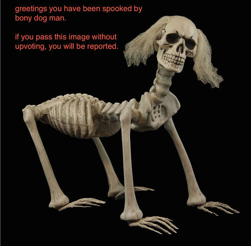 File:Image.jpeg