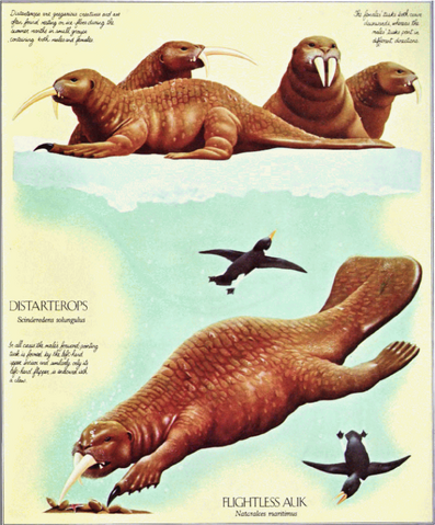 File:Distarterops.png