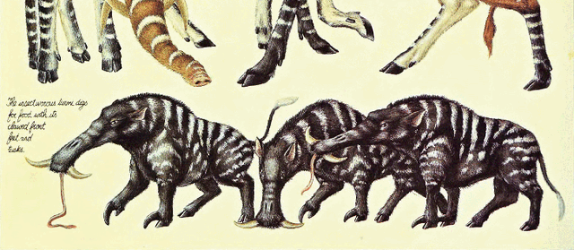 File:Turmi.gif