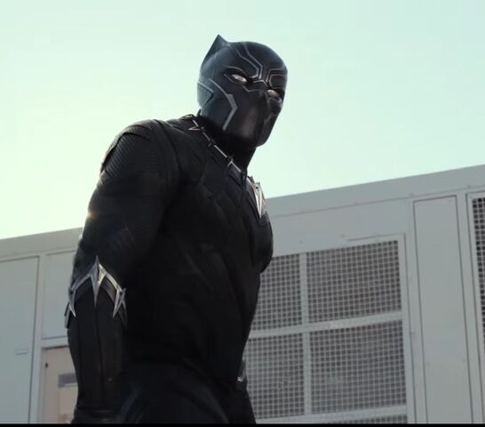 File:Black Pather.jpg