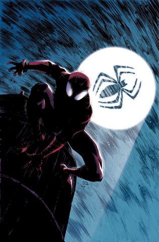 Archivo:Spider-Señal.png