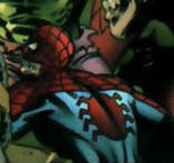 Peter Parker (Earth-6195) 0001
