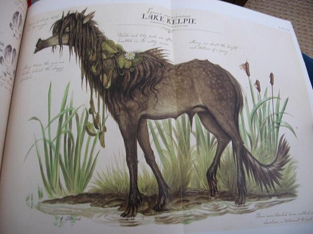File:Kelpie.jpg