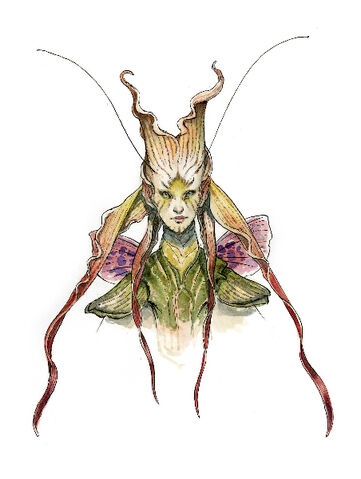 File:Slipperfairy-1-.jpg