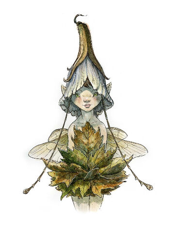 File:Flowerhead-1-.jpg
