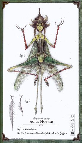 File:06.jpg