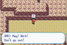 Wait dont go out