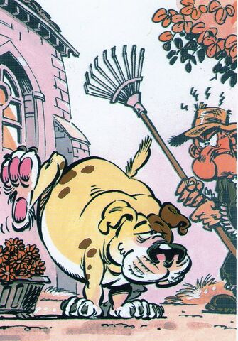 Fichier:Vessie.jpg