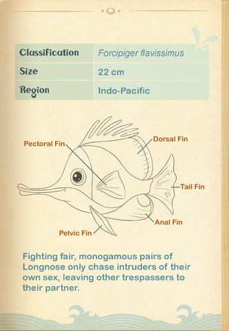 File:Yellow Longnose Butterflyfish§Aquapedia2.png