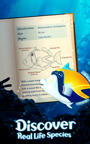 File:Splash Images 2.png