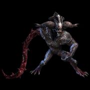 Teratoid