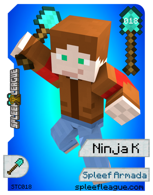 018-NinjaK