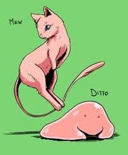Mew and ditto