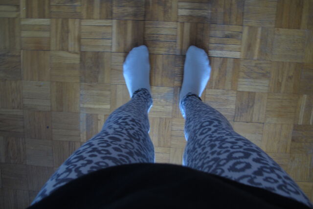 Plik:IMG 5209.jpg