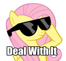 File:Dealwithit2.jpg