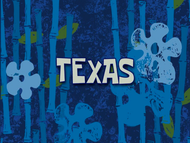 File:Texas voice-over title card.png