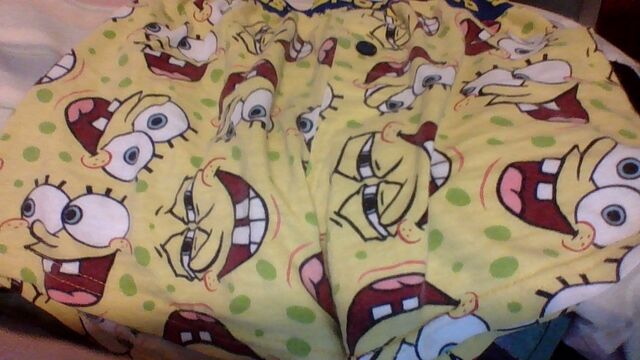File:SBPants.jpg