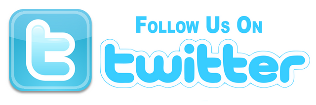File:TwitterButton.png