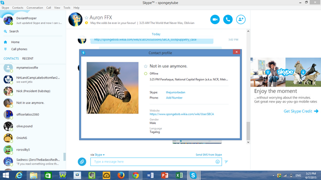 File:SBCA Skype.png