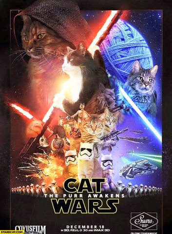 File:Cat-wars-the-purr-awakens.jpg