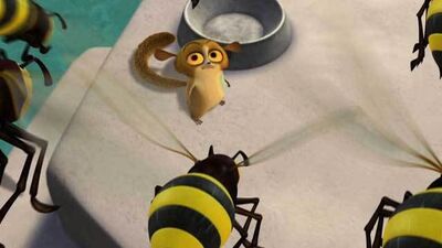 Oooooo-Look-at-the-Bees-penguins-of-madagascar-17863095-640-360