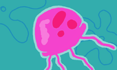 Jellyfish