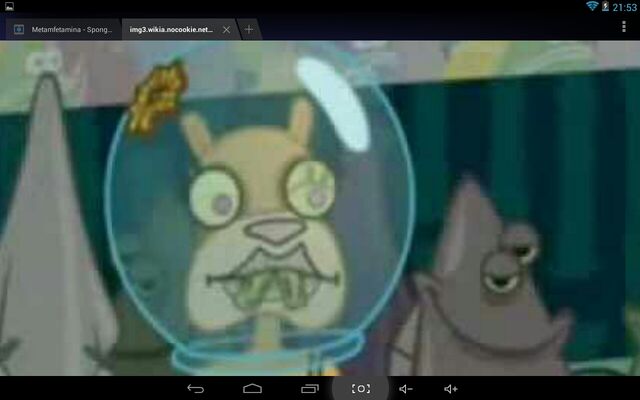 Plik:Screenshot 2014-08-21-21-53-50.jpeg