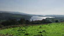 Rivington