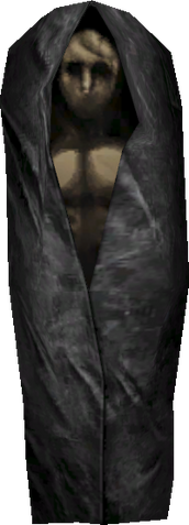 File:3DBodyBag.png