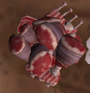 Mieso.png
