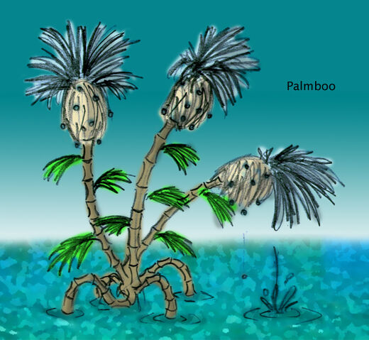 File:Palmboo.jpg
