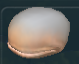 Ficheiro:D'Dorc.png