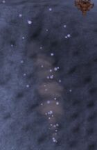 Geyser
