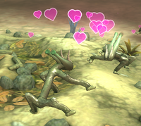 Courting