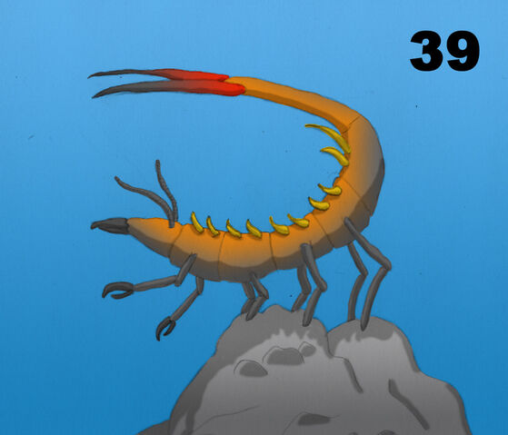 File:39Orangepade.jpg