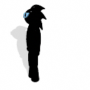 500790720457