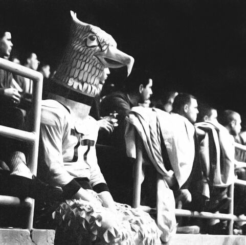 File:Tommy Tech.jpg