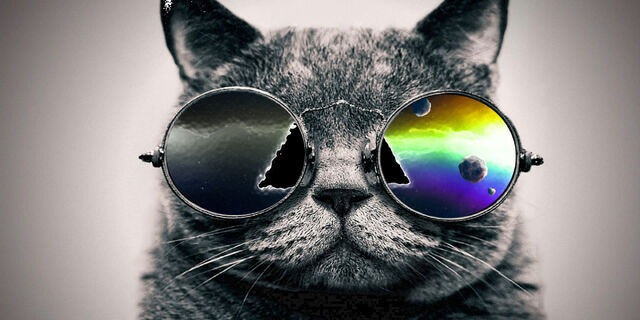 File:O-COOL-CAT-facebook.jpg