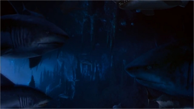 File:GreatWhiteSharks.png