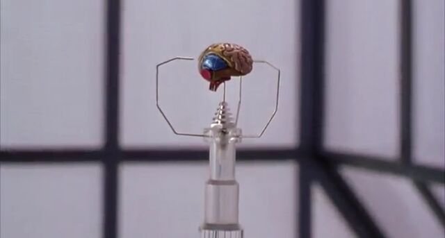 File:Third Brain.jpeg