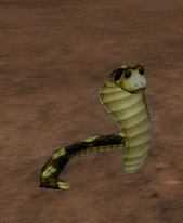 Klippenkobra.png