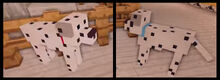 Pongo perdita
