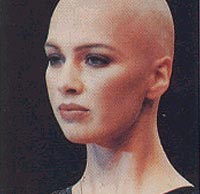File:Deltans.jpg