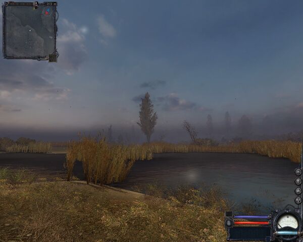 File:Swamp2.jpg
