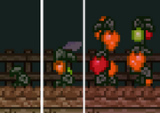 Avesmingo growth