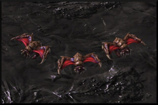 Scourges
