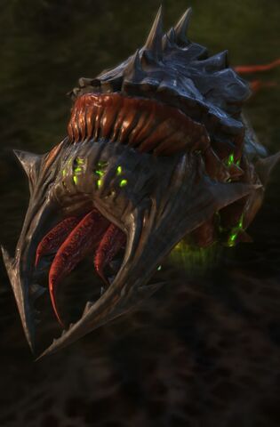 File:Larva SC2 Head1.jpg