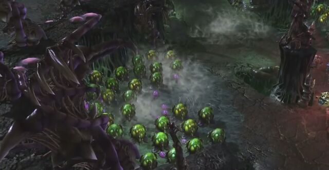 File:NydusNetwork SC2 Game1.jpg