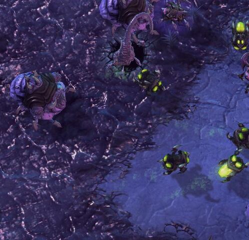 File:Creep SC2 Game2.jpg