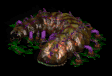 Cerebrat.png